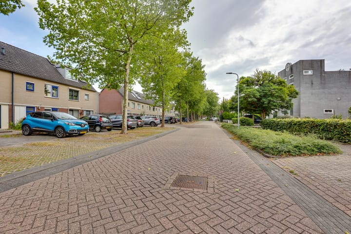 Foto 32 van Citroenvlinder 124