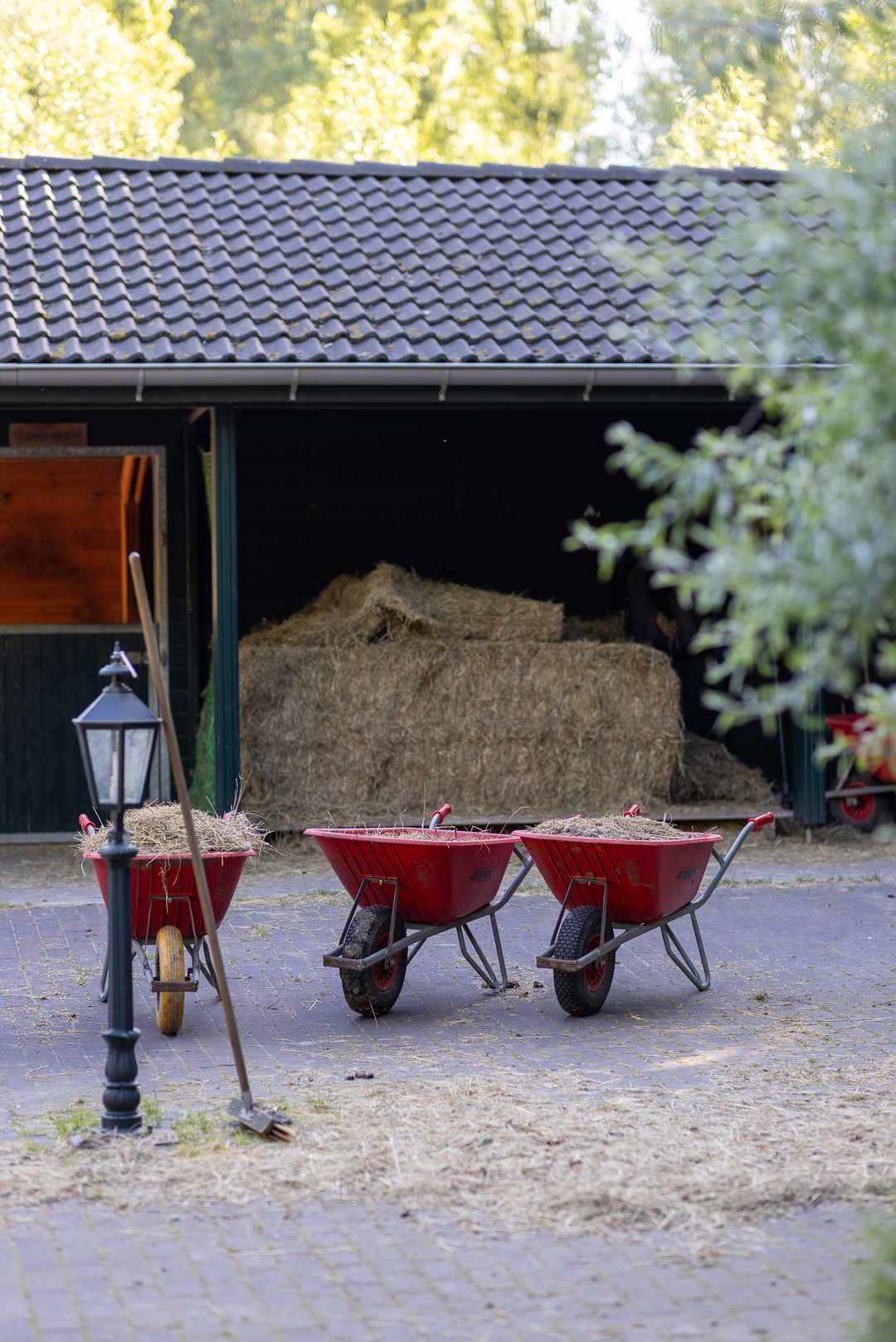 Foto 58 van IJsseldijk 222