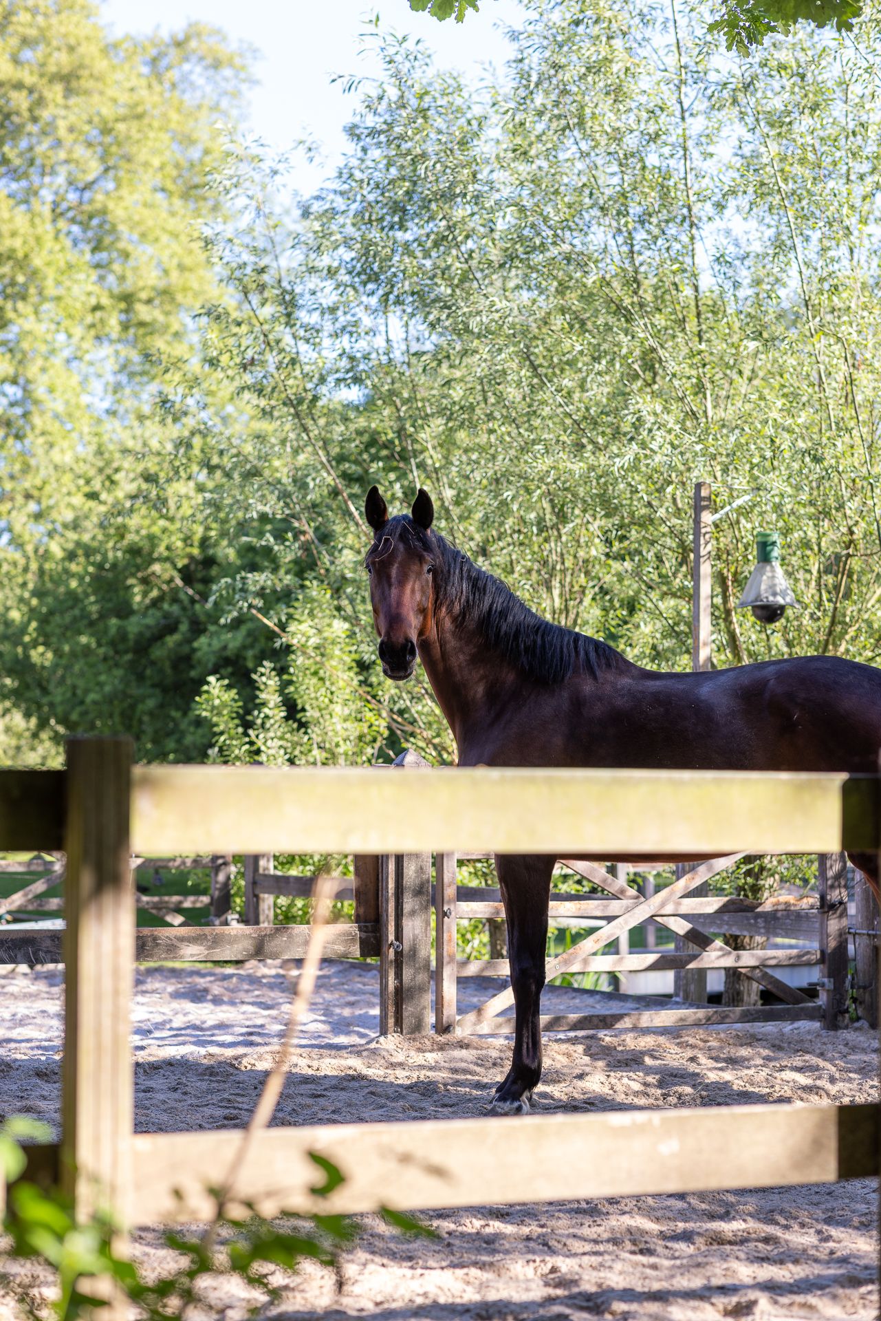 Foto 63 van IJsseldijk 222