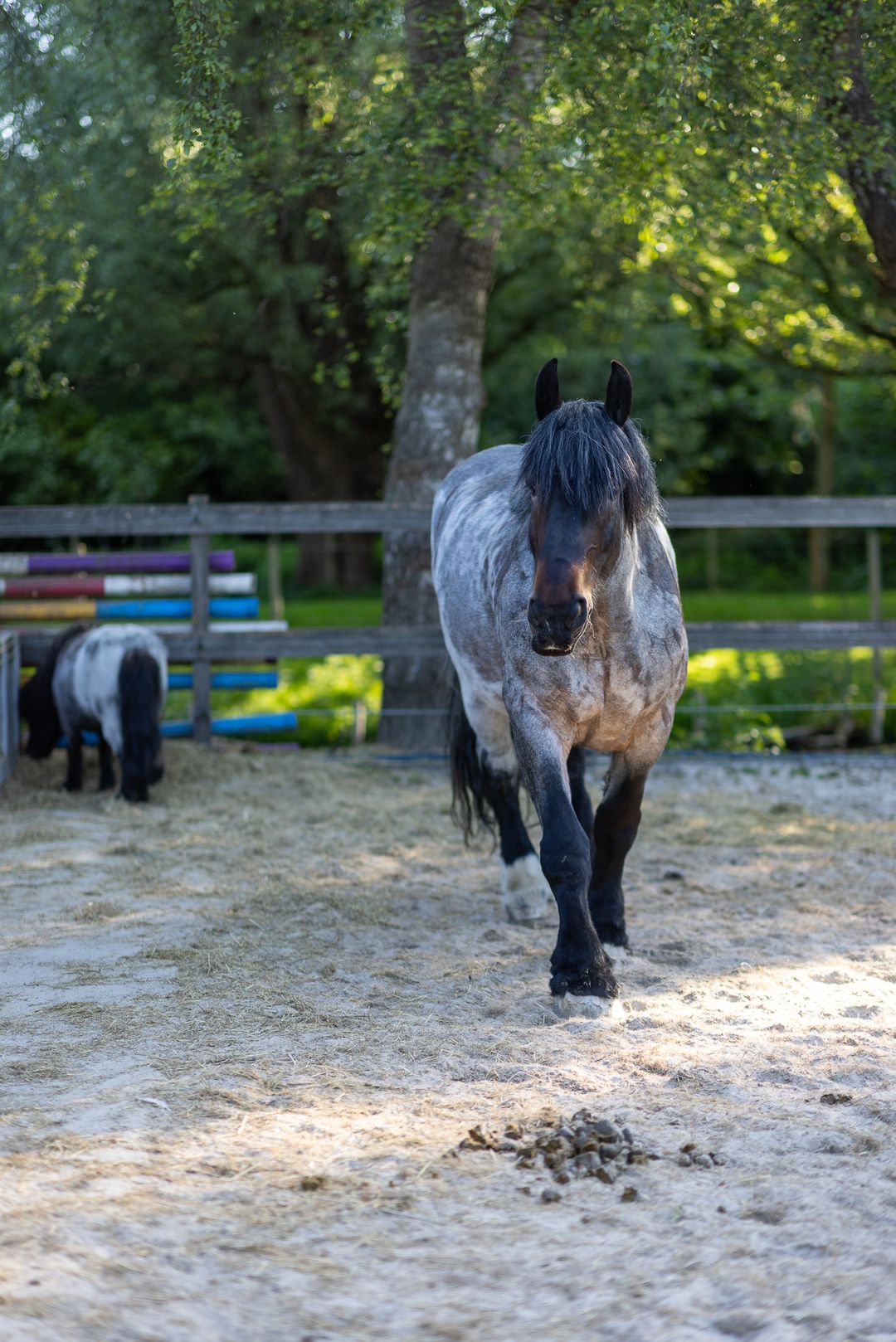 Foto 67 van IJsseldijk 222