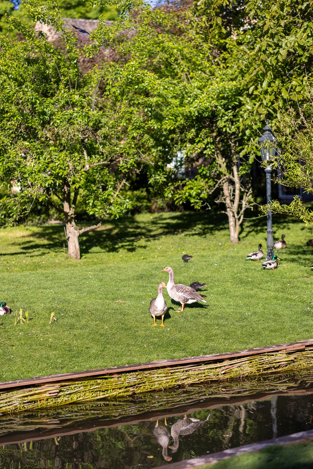 Foto 73 van IJsseldijk 222