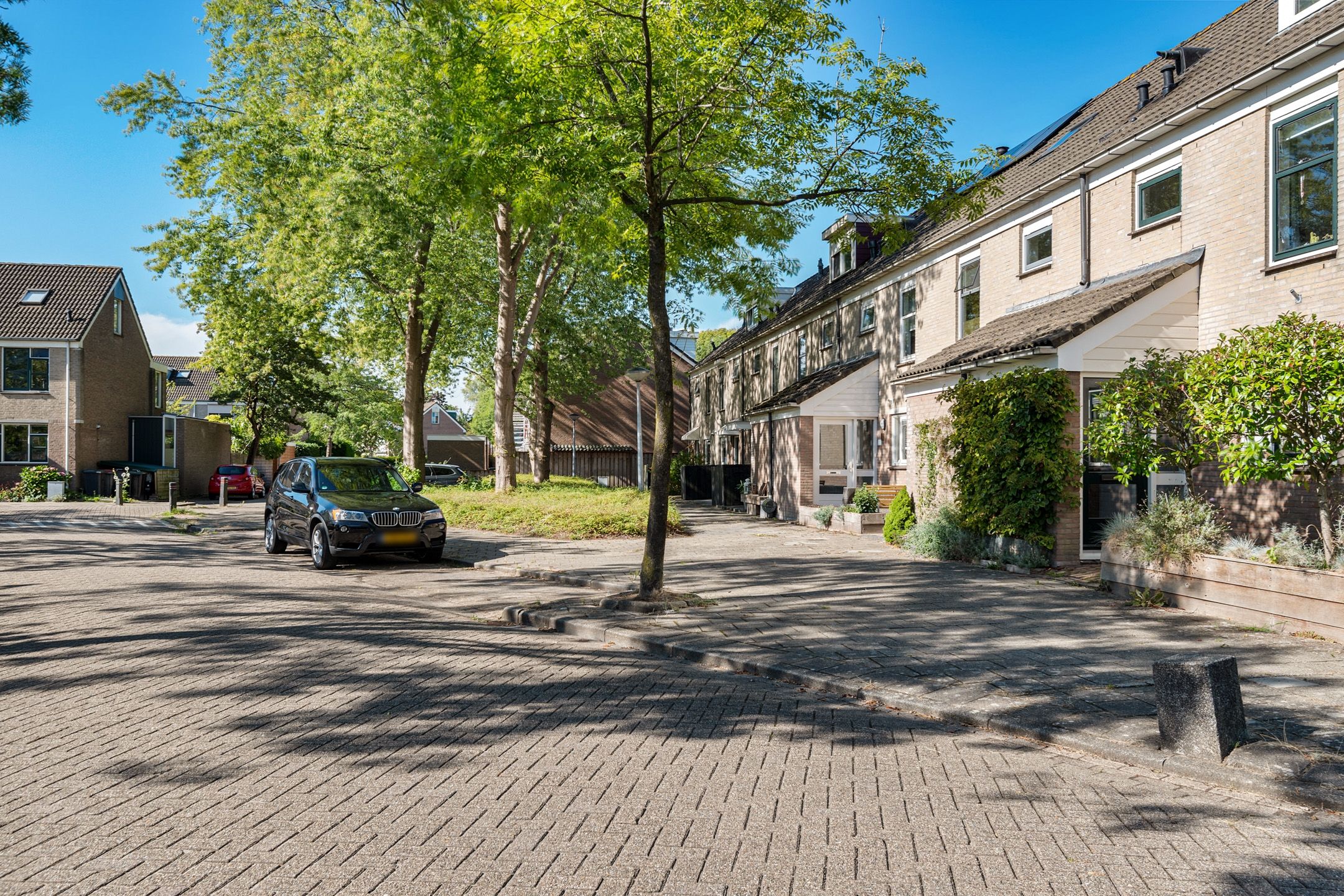 Foto 6 van Houtrib 120