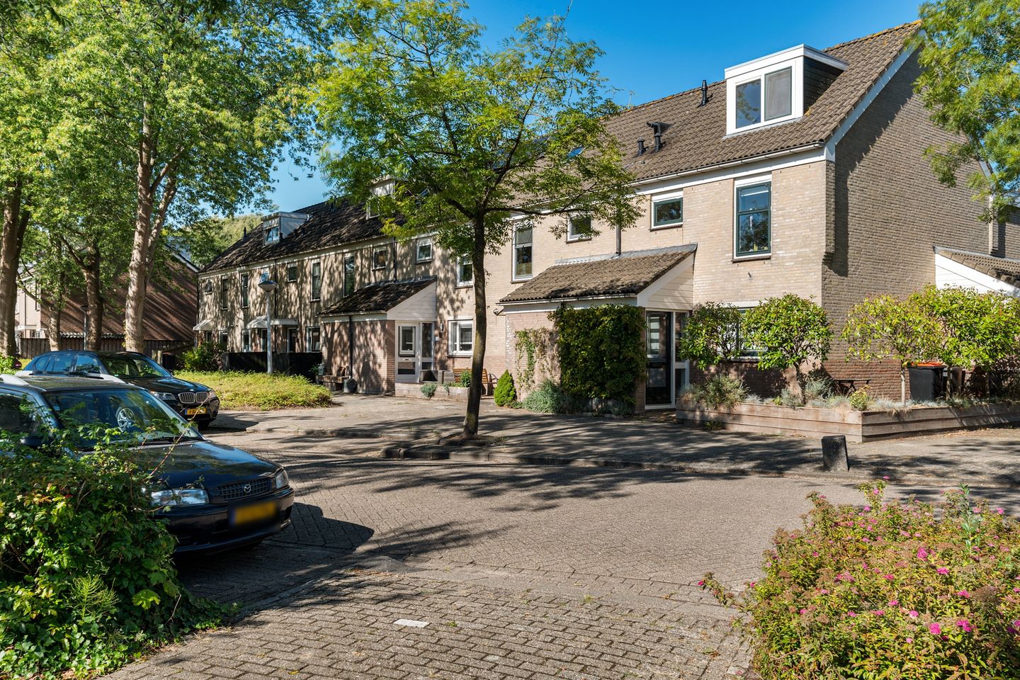 Foto 44 van Houtrib 120