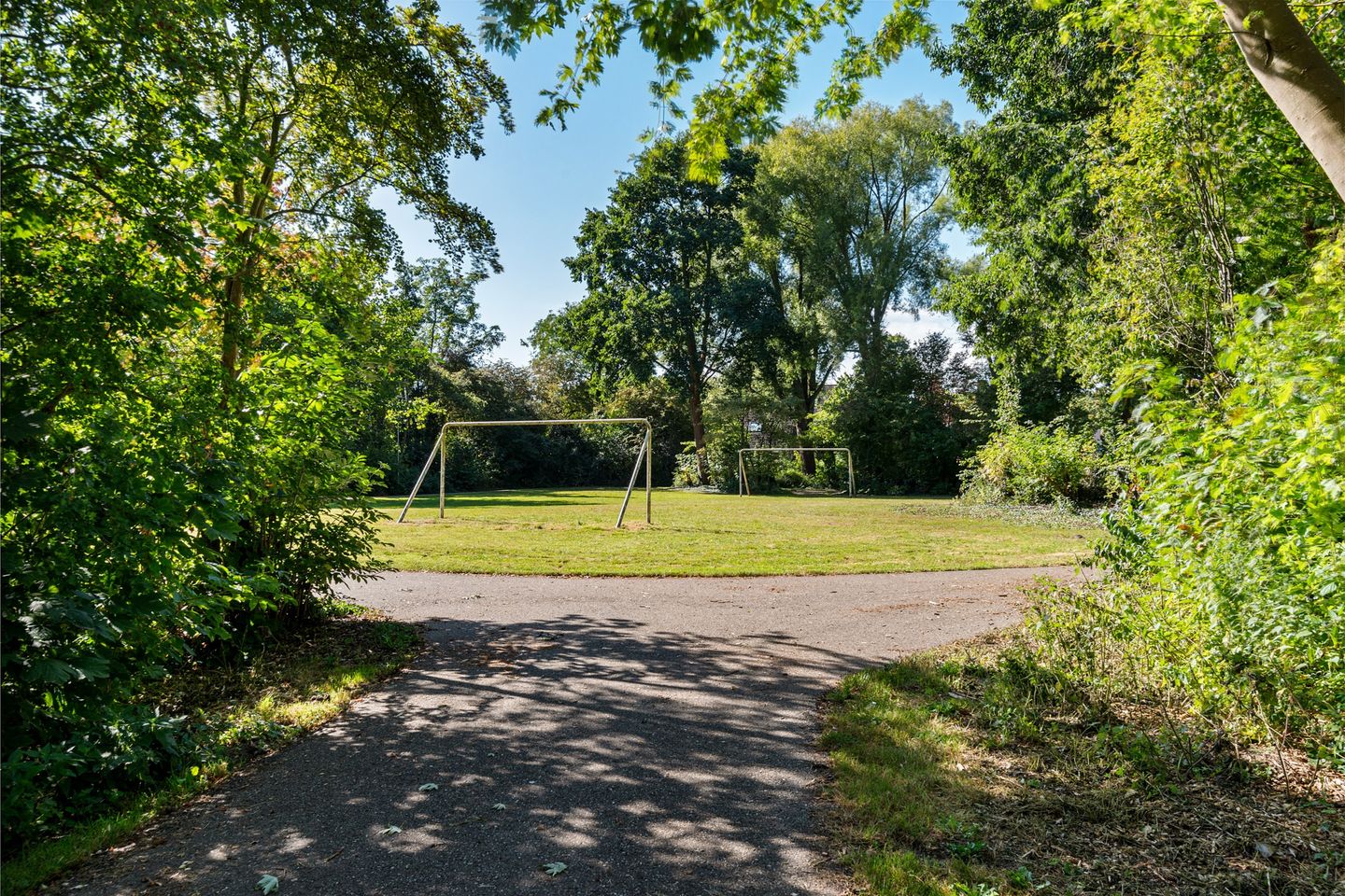 Foto 49 van Houtrib 120