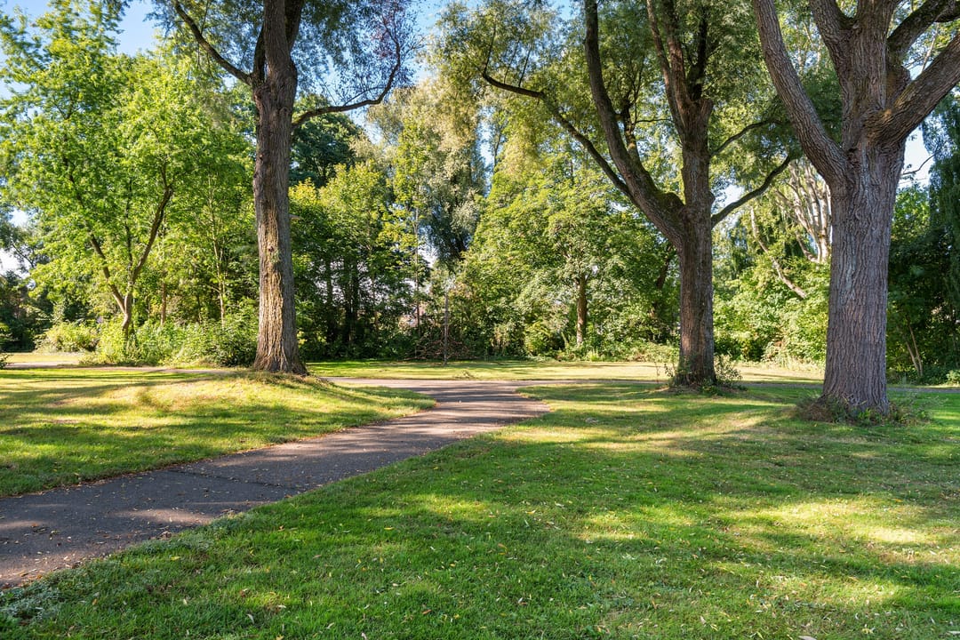 Foto 47 van Houtrib 120