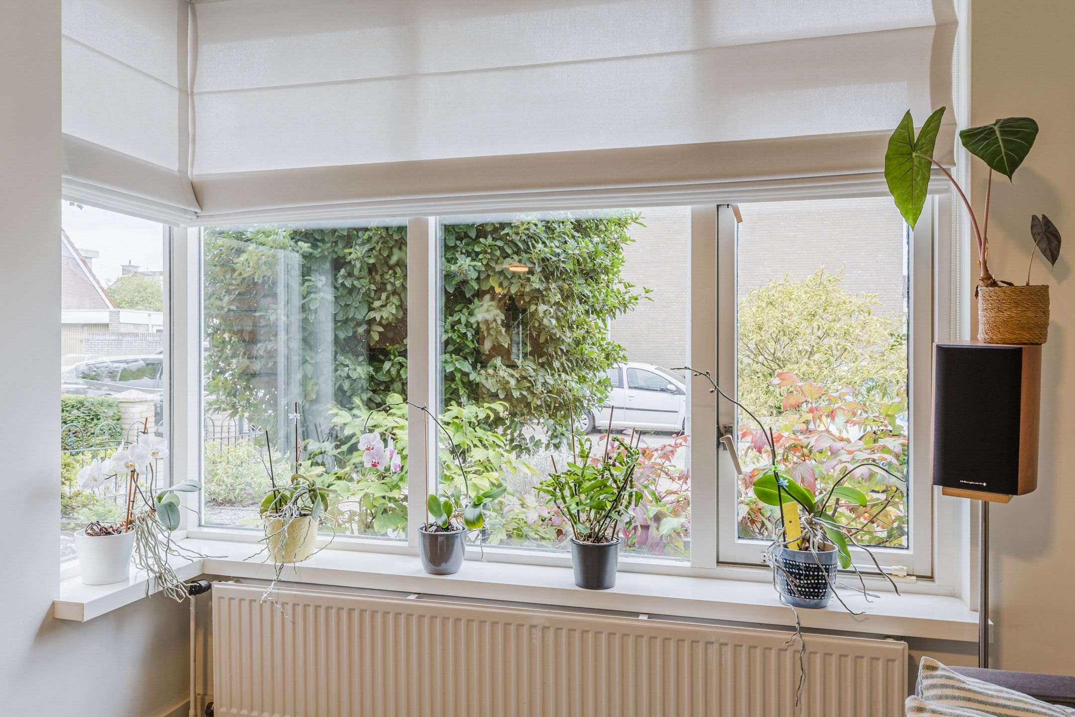 Foto 6 van Mainelaan 55