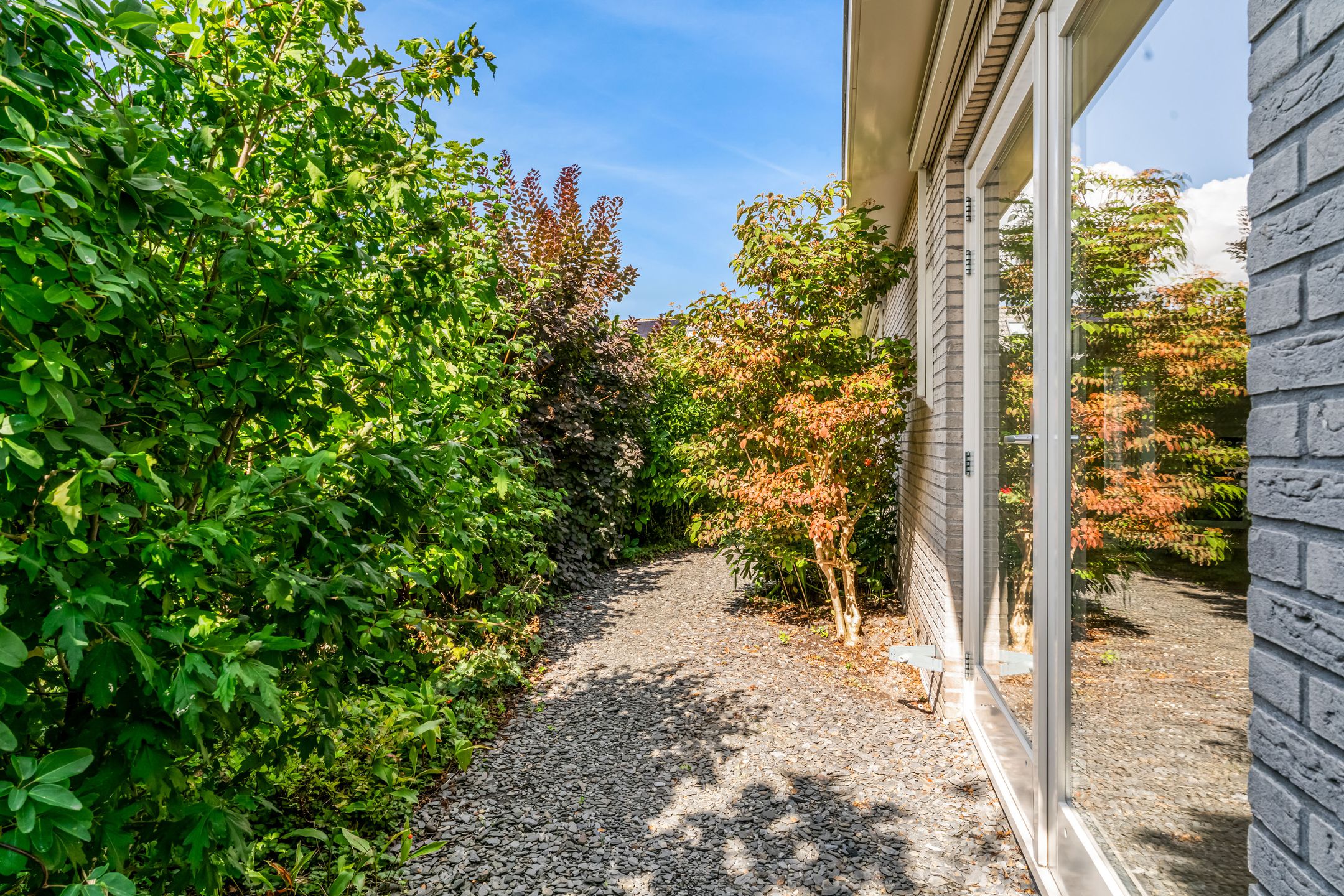 Foto 39 van Pissarrohof 29