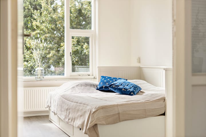 Foto 3 van Frans van Mierisstraat 20