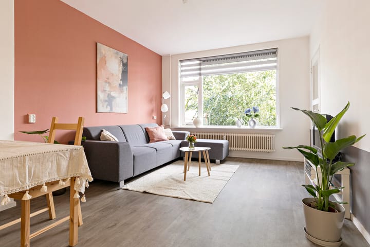 Foto 9 van Frans van Mierisstraat 20