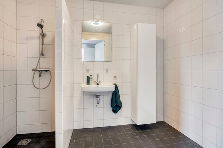 Foto 4 van Meidoornstraat 119