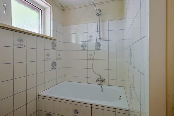 Foto 12 van Borrekuilstraat 119