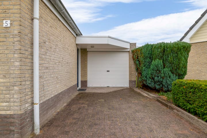 Foto 5 van Watersnip 5