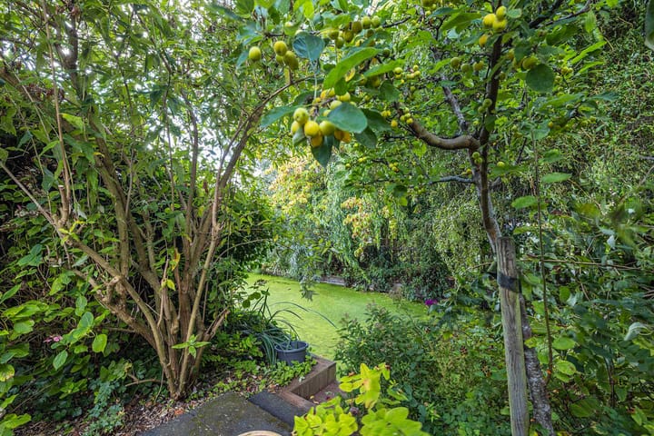 Photo 45 of Leendert Butterstraat 44