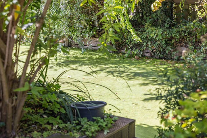 Photo 46 of Leendert Butterstraat 44