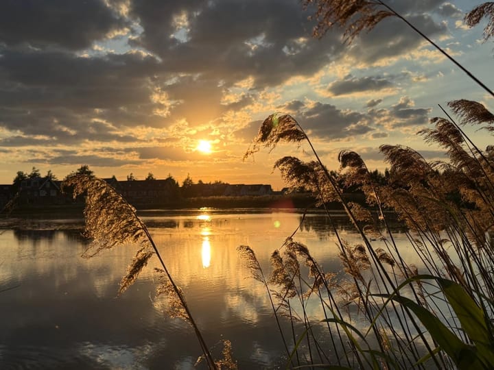 Foto 43 van De Vrijheidswerf 1