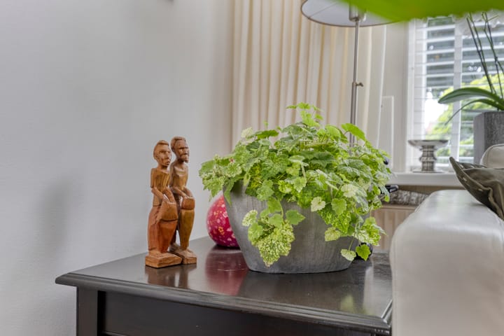 Foto 8 van Kottendijk 175