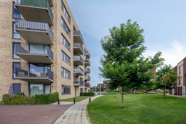 Foto 9 van Altair 30