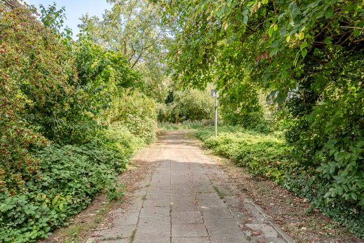 Foto 41 van Delta 98