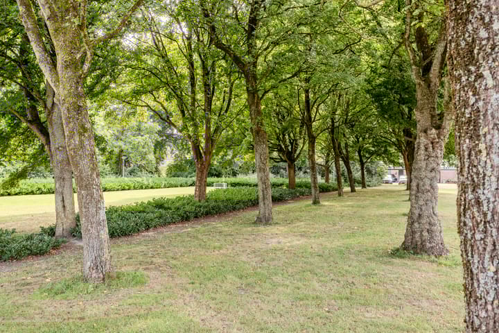 Foto 43 van Delta 98