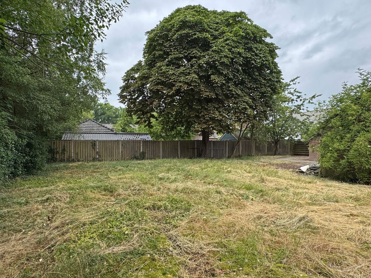 Foto 4 van Edveensweg 12