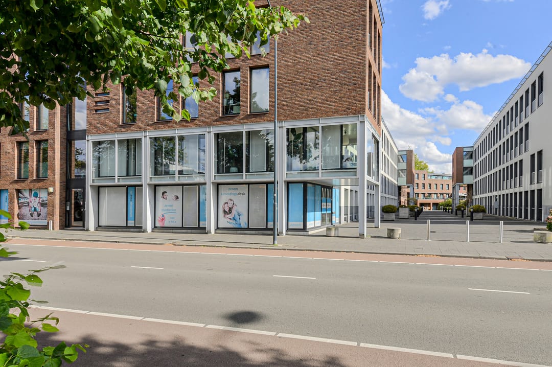 Photo 43 of Boeimeersingel 6-A