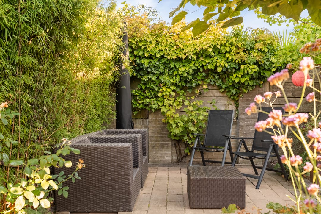 Foto 31 van Land van Saaftinge 15