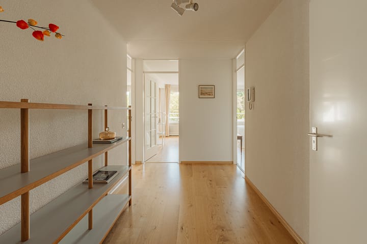 Foto 5 van Luttickduin 68