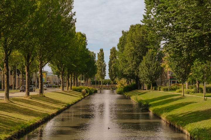 Foto 23 van Luttickduin 68