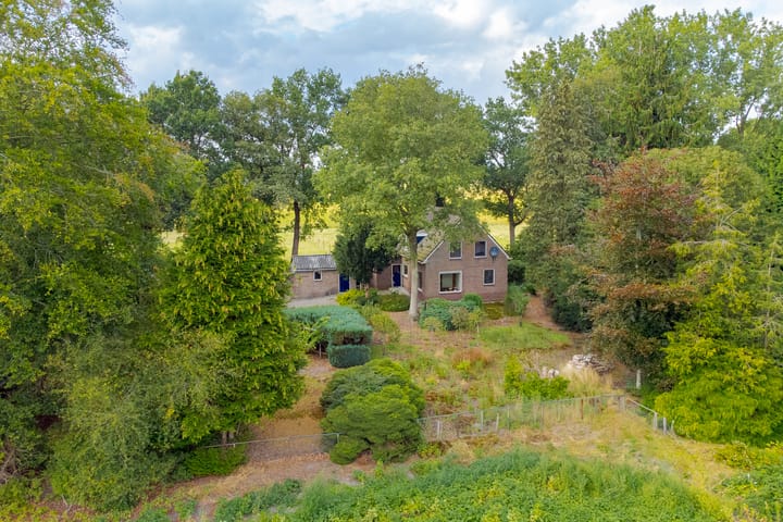 Foto 1 van Rolderstraat 2-A