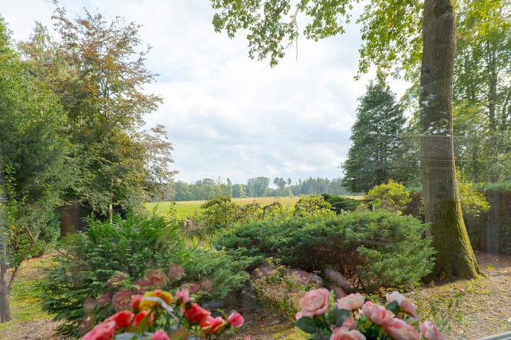 Foto 14 van Rolderstraat 2-A