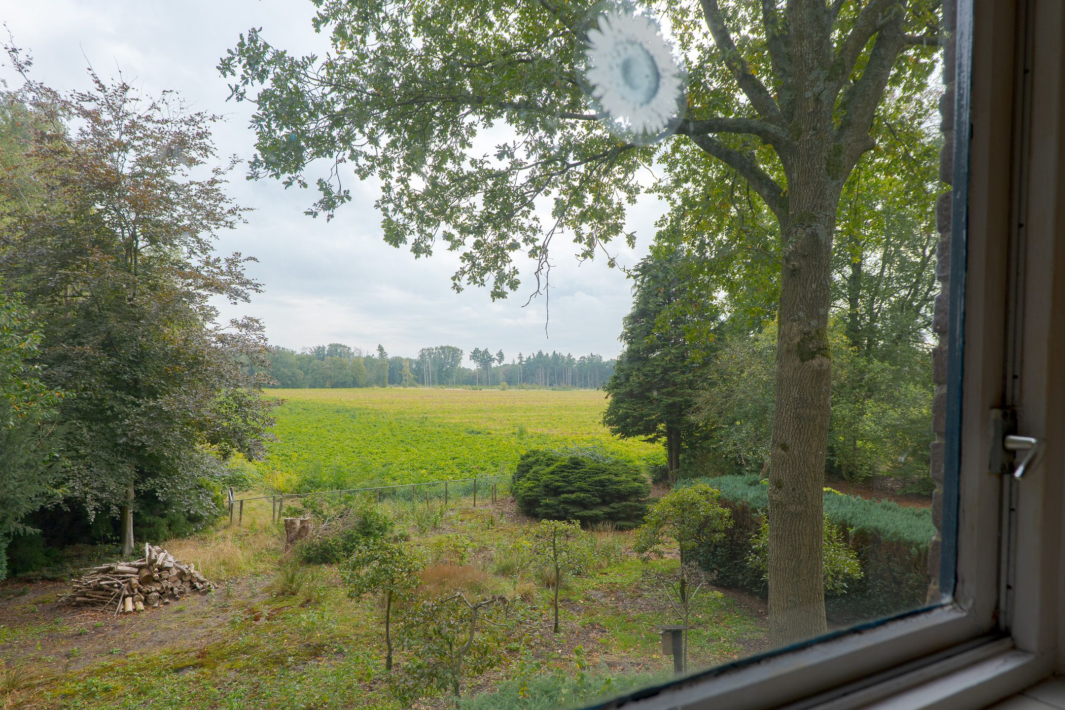 Photo 30 of Rolderstraat 2-A