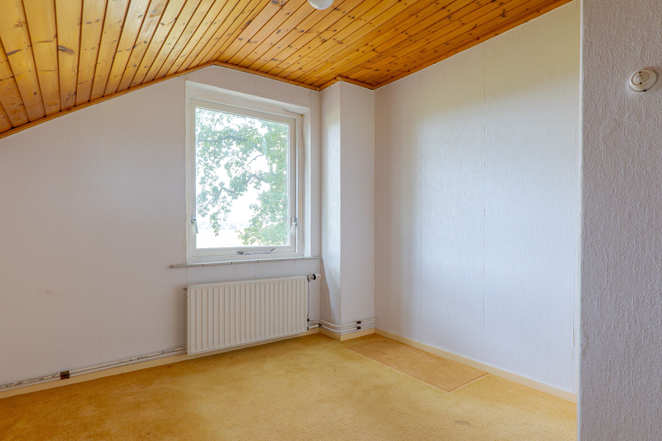 Photo 33 of Rolderstraat 2-A