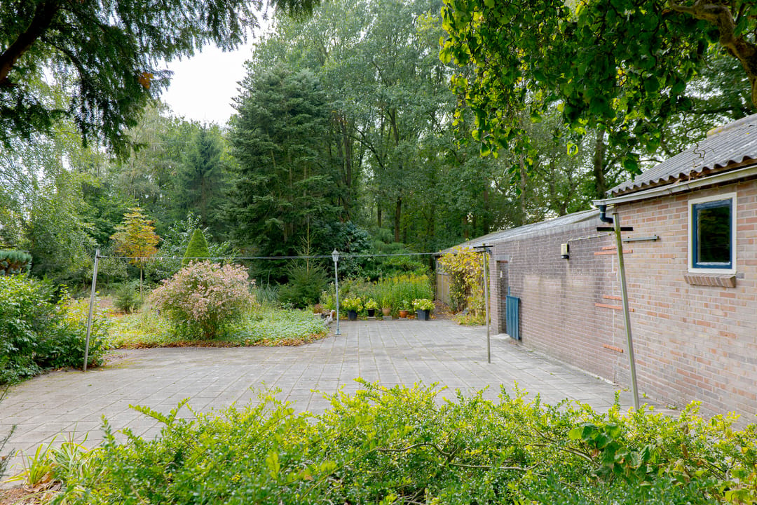 Photo 46 of Rolderstraat 2-A