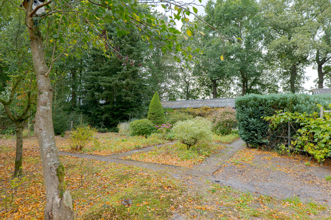Photo 47 of Rolderstraat 2-A