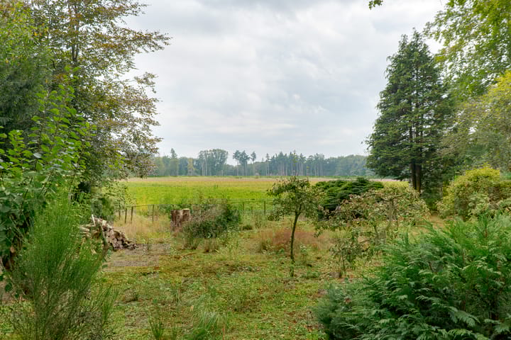 Foto 48 van Rolderstraat 2-A