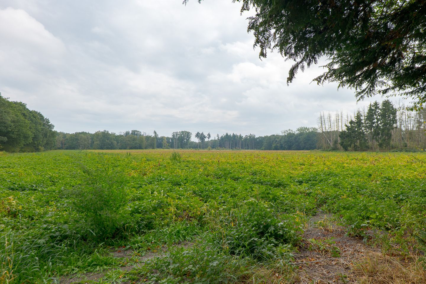 Photo 49 of Rolderstraat 2-A