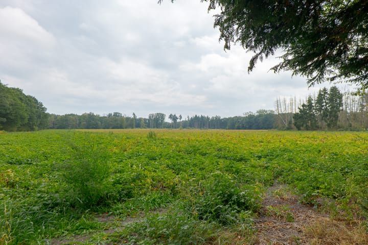 Foto 49 van Rolderstraat 2-A