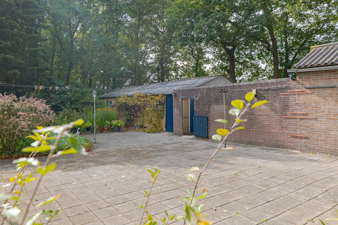 Photo 50 of Rolderstraat 2-A