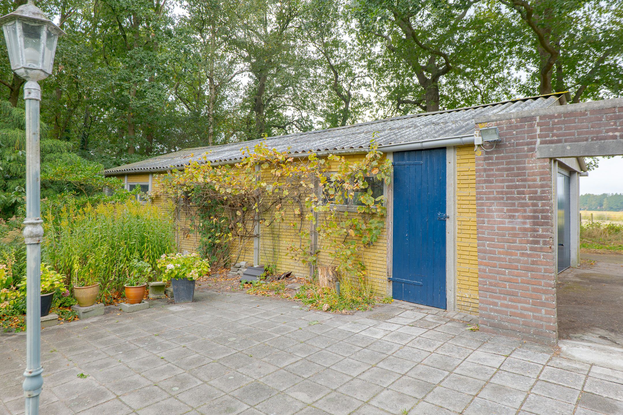 Photo 51 of Rolderstraat 2-A