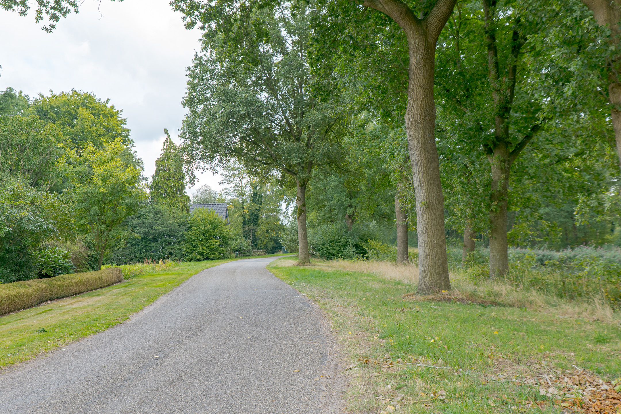 Photo 60 of Rolderstraat 2-A
