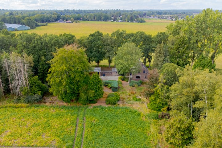 Foto 61 van Rolderstraat 2-A