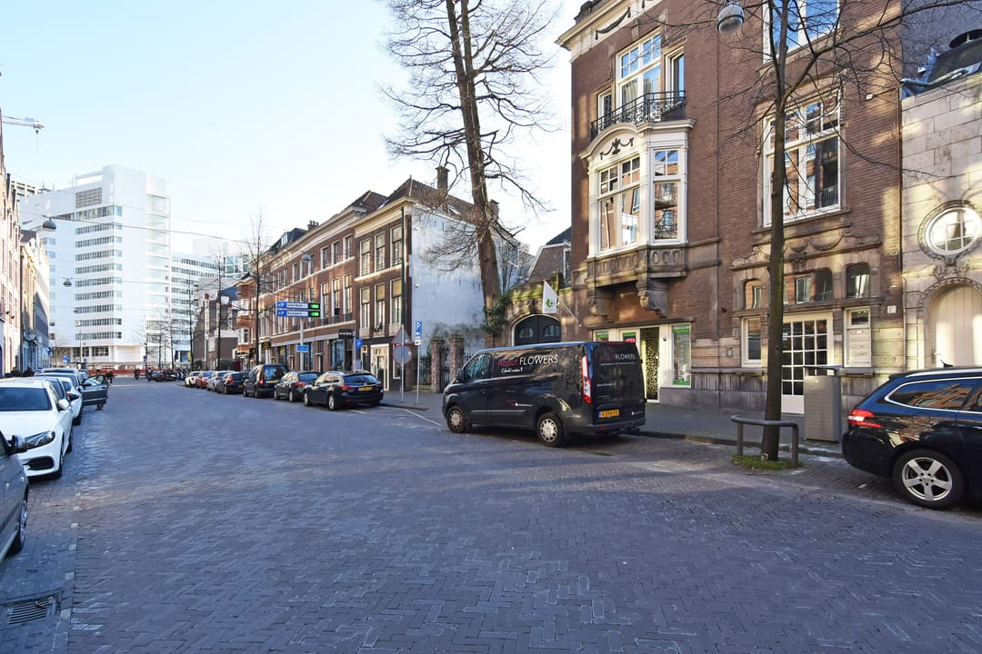 Foto 32 van Fluwelen Burgwal 1-D2