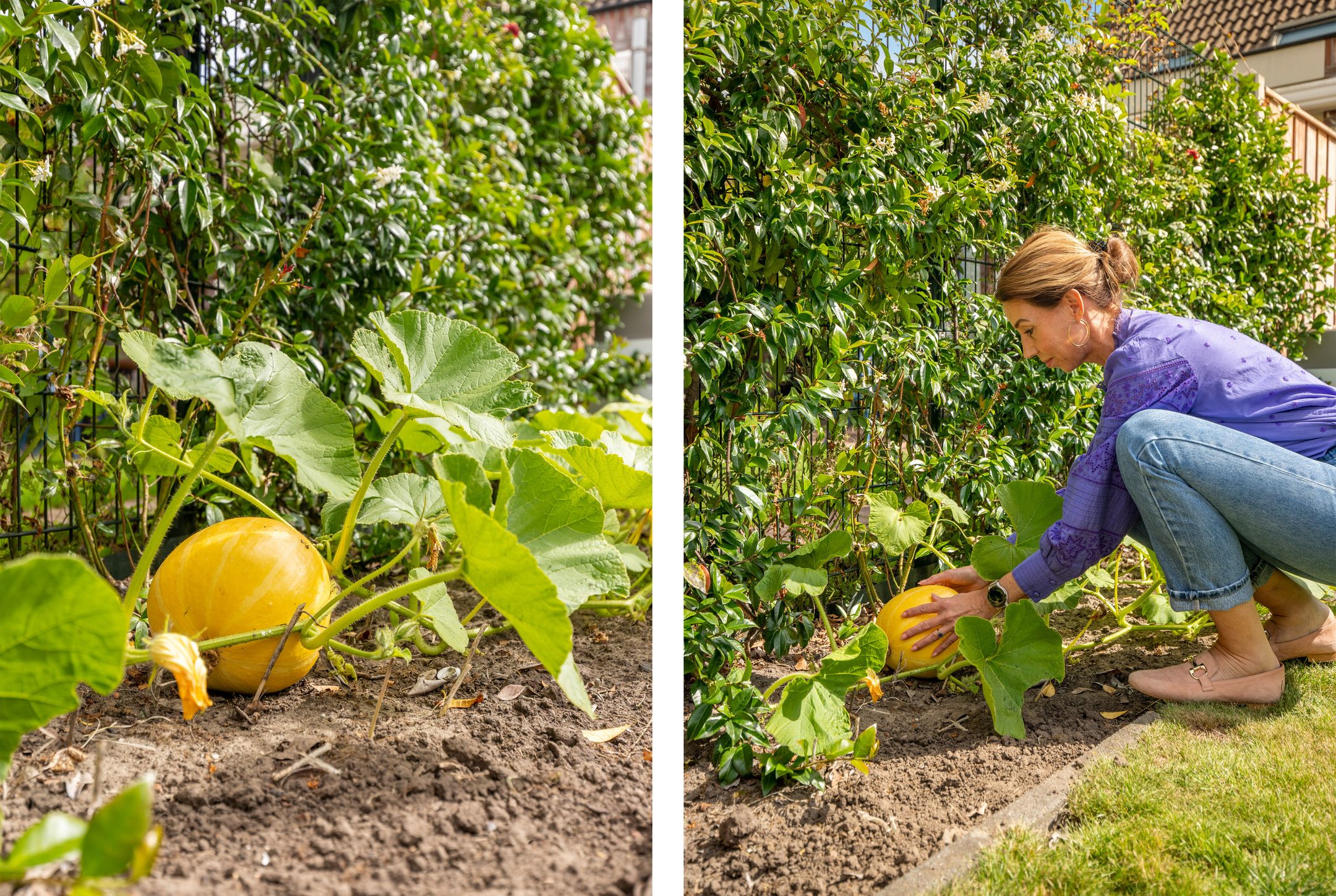 Foto 27 van Bosrank 28