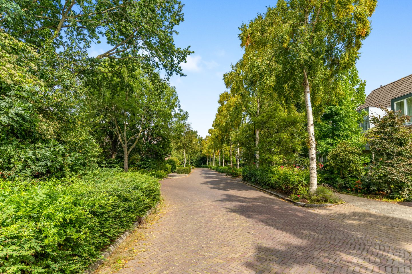 Foto 35 van Bosrank 28