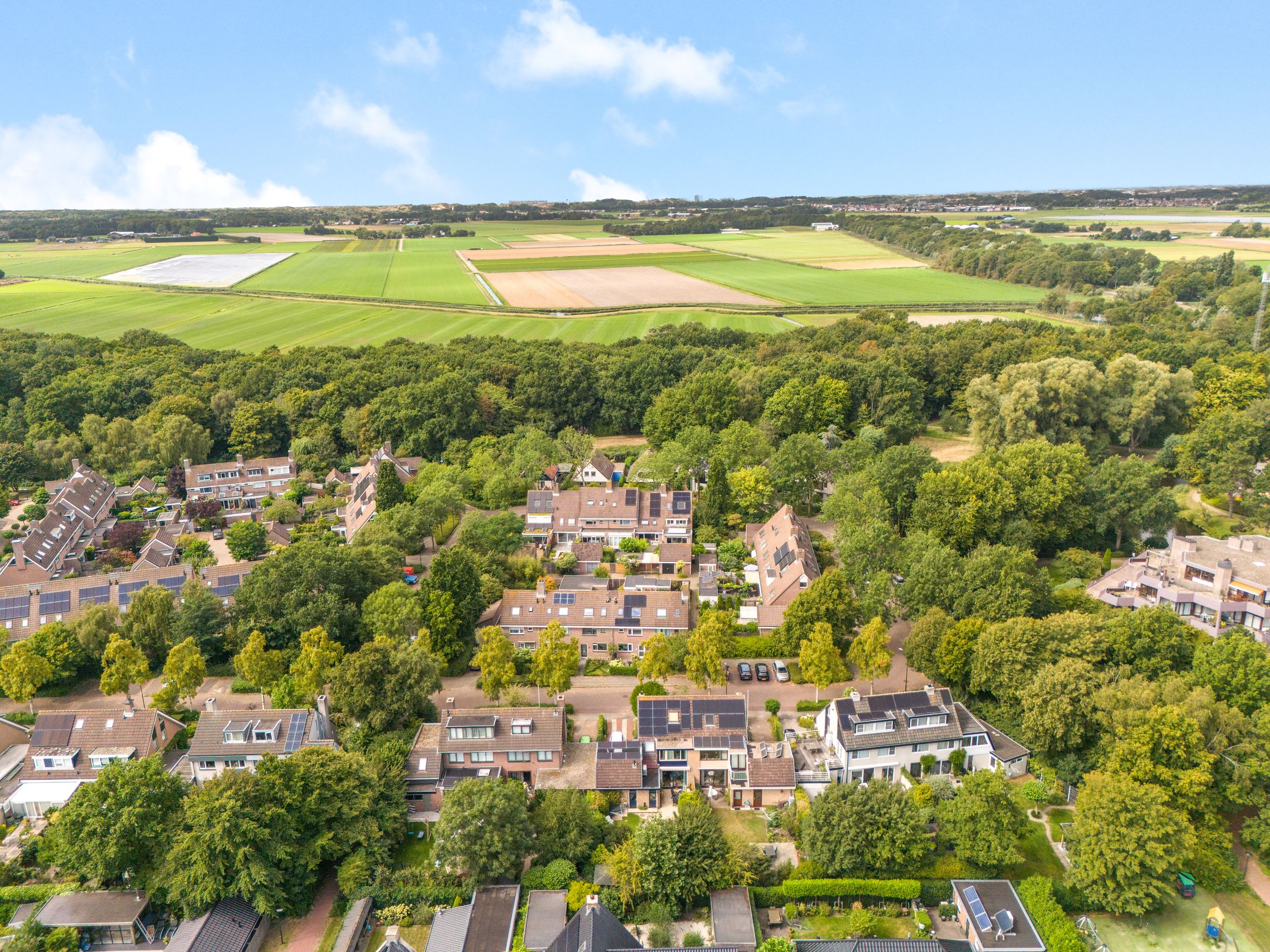 Foto 36 van Bosrank 28