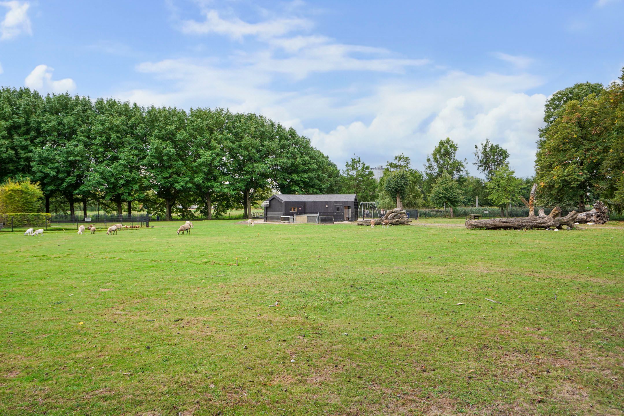 Foto 27 van Hadewychstraat 58