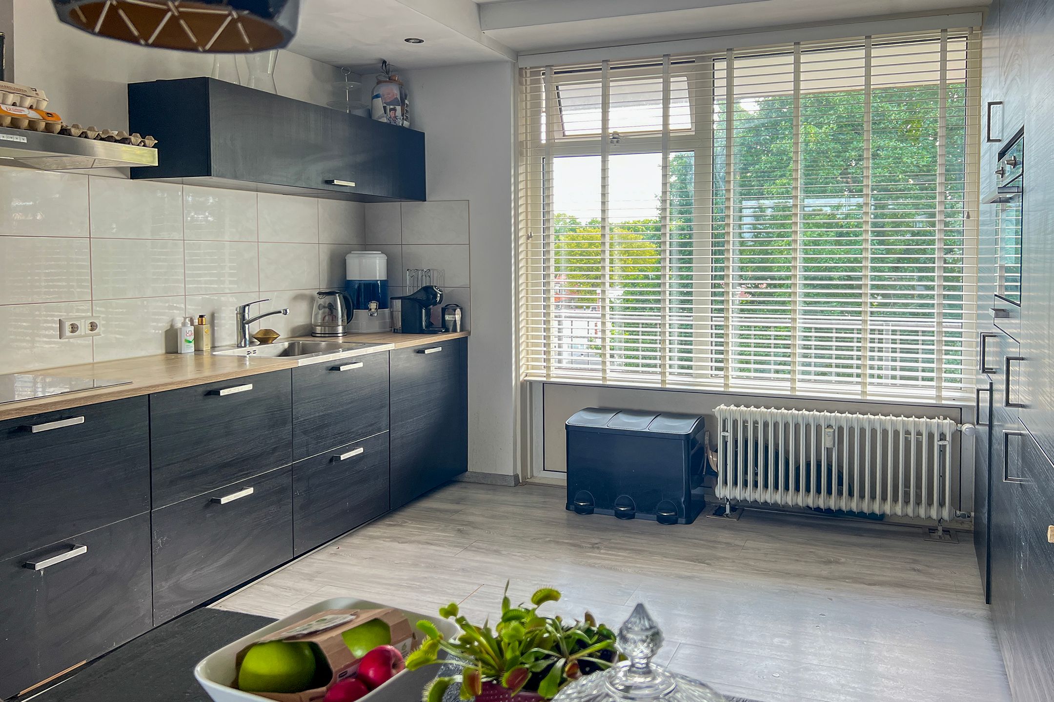 Foto 3 van Predikherenlaan 283