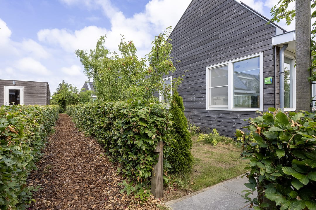 Photo 41 of Wijk aan Duinpad 16-F