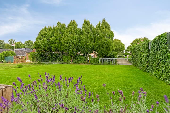 Foto 41 van Cornelis Schipperplein 10