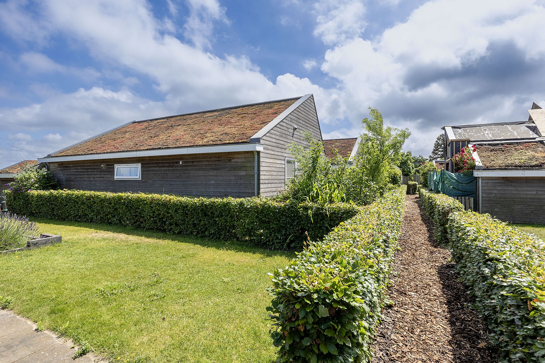 Photo 42 of Wijk aan Duinpad 16-F